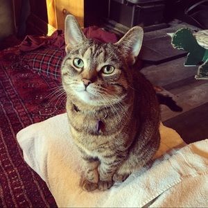 Meet your Posher, Megan